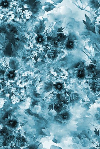 1475509-2022-2-12水墨菊