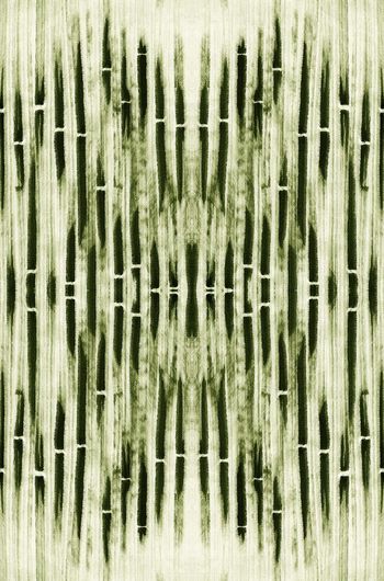 1475594-776580d218d524fe