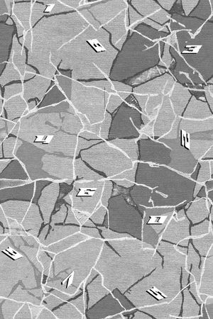 男装满版花印花华亿平台图片