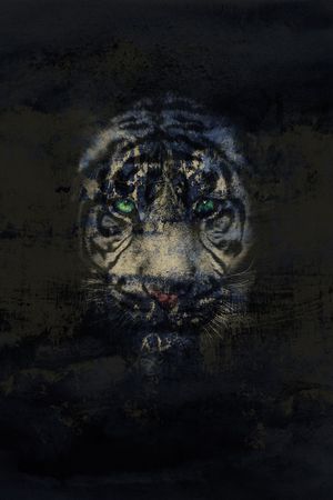 豹子印花华亿平台图片