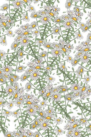 女装印花华亿平台图片