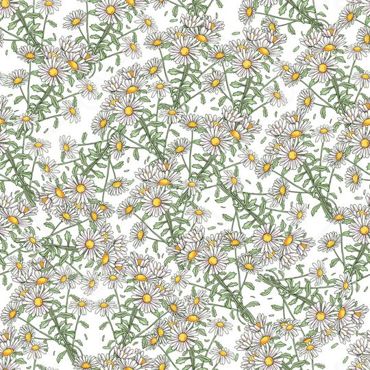 女装印花华亿平台图片