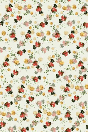 女装印花华亿平台图片