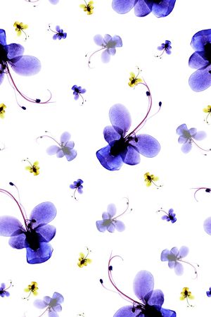 水彩印花华亿平台图片