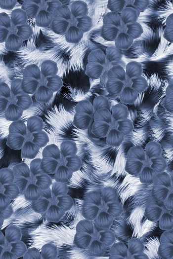 1476513-2022-2-14毛皮花