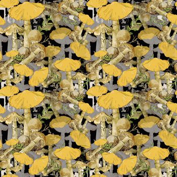 1476519-20220219-qwys-3-