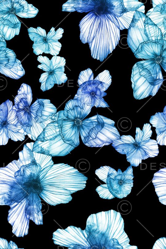 黑底花卉印花华亿平台图片