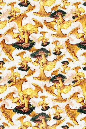 绿植树叶印花华亿平台图片