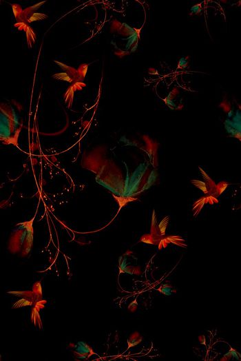 1476780-2022-2-18花鸟-02