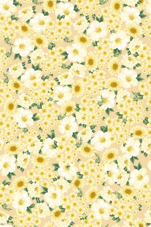 女装印花华亿平台图片