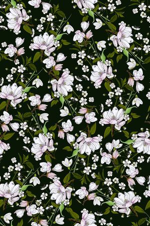 女装印花华亿平台图片