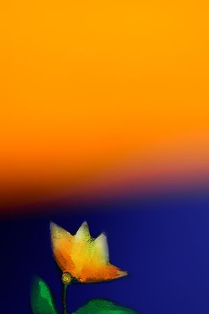 渐变印花华亿平台图片