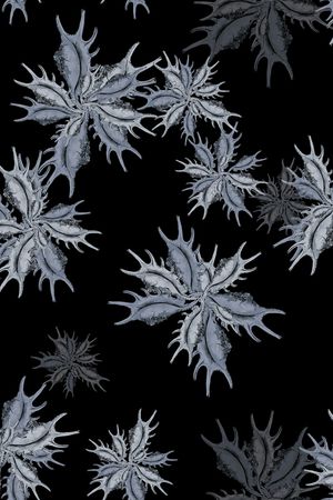 佩斯利印花华亿平台图片