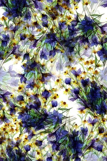 1477151-2022-2-19花