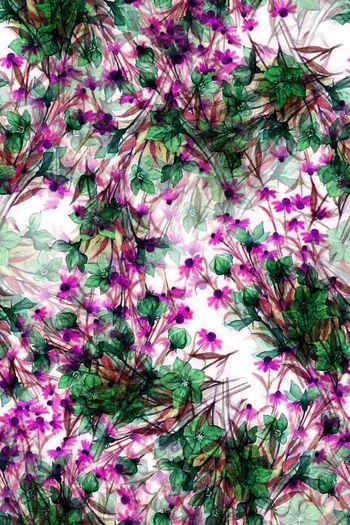 1477152-2022-2-19花-01