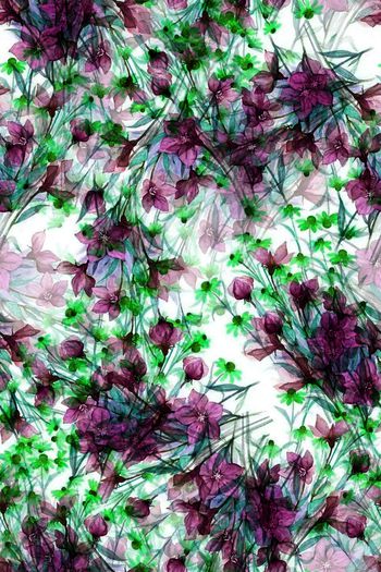 1477153-2022-2-19花-02