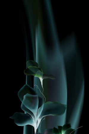 黑底花卉印花华亿平台图片