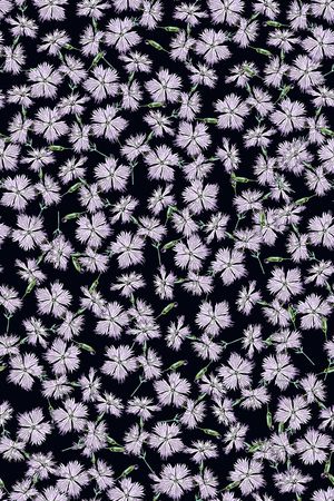 女装印花华亿平台图片