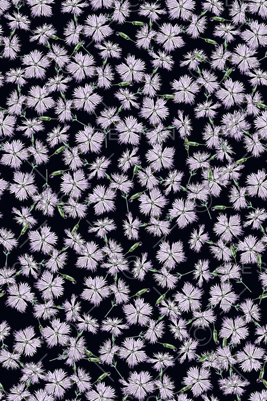 女装印花华亿平台图片