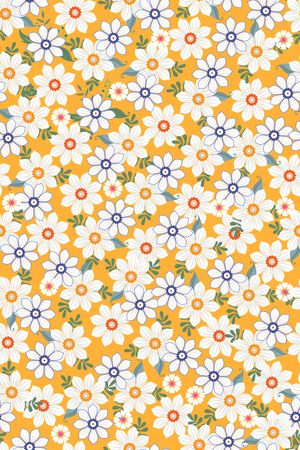 女装印花华亿平台图片