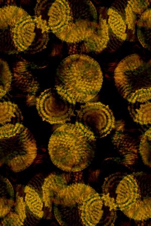 烂花华亿平台印花华亿平台图片