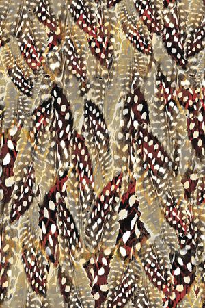 动物花卉印花华亿平台图片