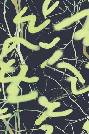 渐变印花华亿平台图片