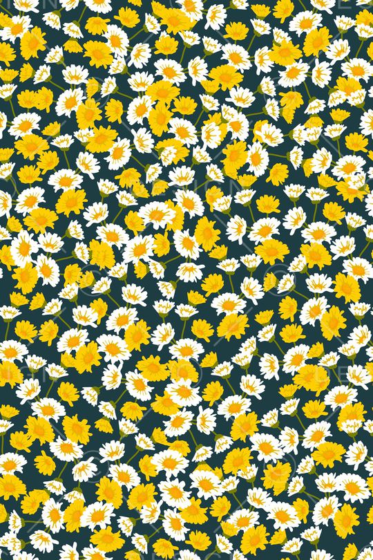 女装印花华亿平台图片