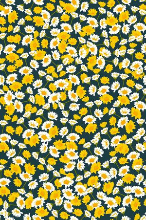 女装印花华亿平台图片