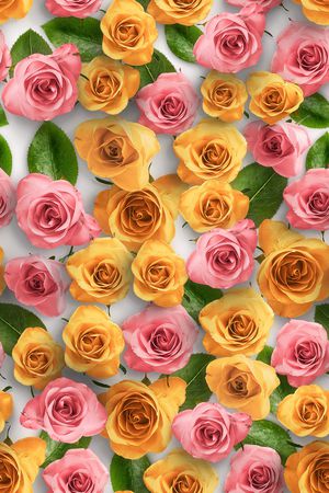 春夏华亿平台印花华亿平台图片