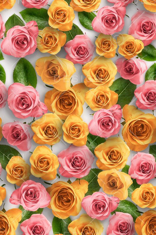 春夏华亿平台印花华亿平台图片