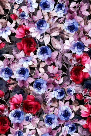 连衣裙印花华亿平台图片