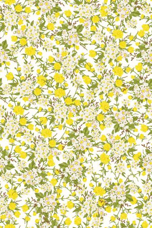 女装印花华亿平台图片