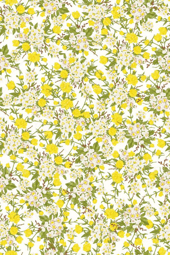 女装印花华亿平台图片