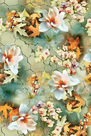 女装印花华亿平台图片