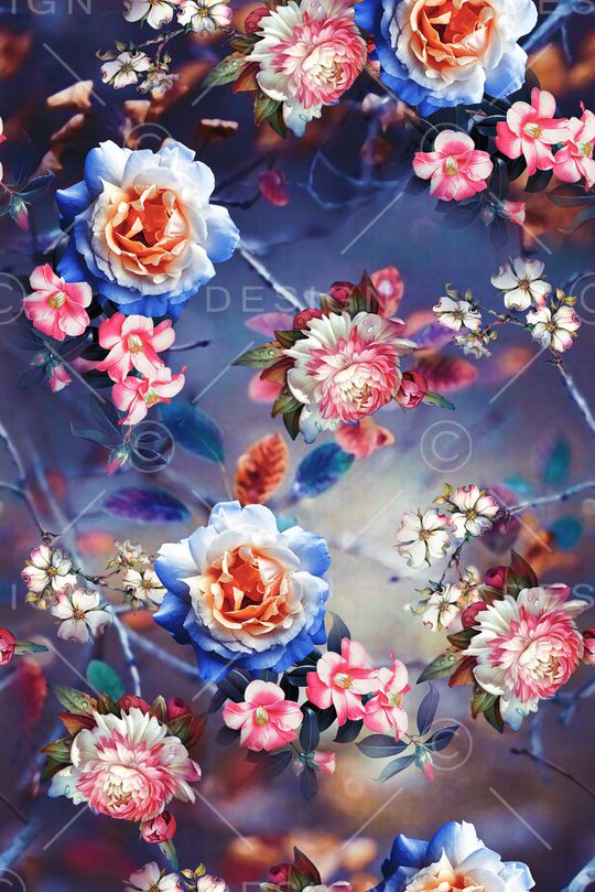 女装印花华亿平台图片