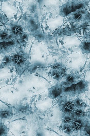 1479137-2022-2-27南瓜腾-01