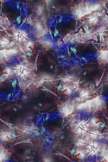 1479140-2022-2-27南瓜腾-02