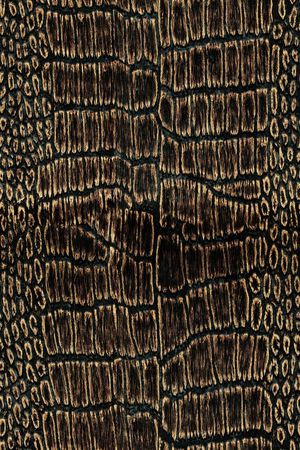 男装印花华亿平台图片