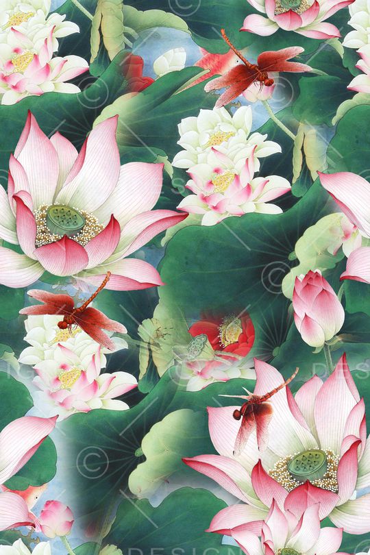 荷花印花华亿平台图片