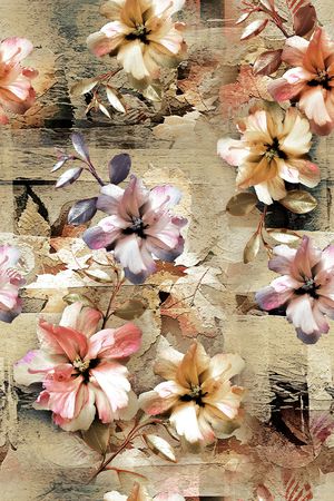 女装印花华亿平台图片