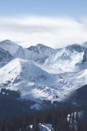 羽绒服印花华亿平台图片