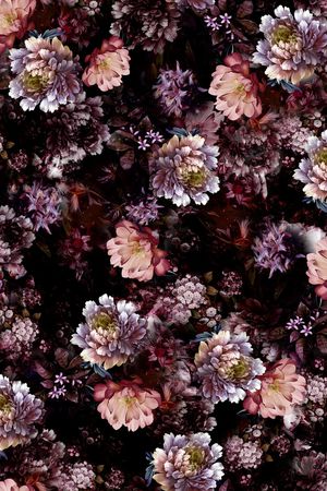 女装印花华亿平台图片