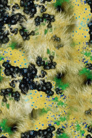 1480172-2022-3-3草花-01