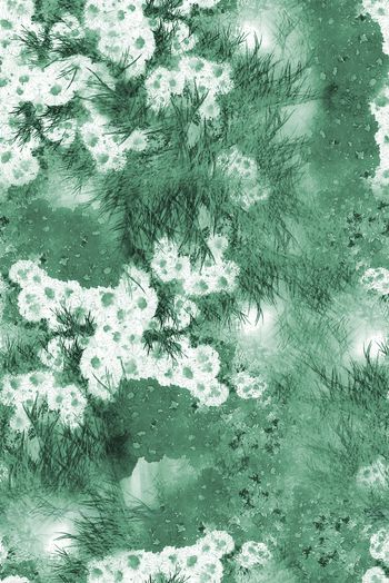 1480173-2022-3-3草花-02