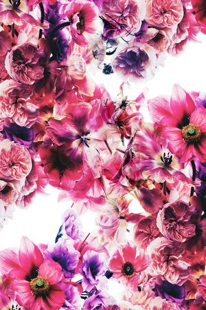 彩底花卉印花华亿平台图片