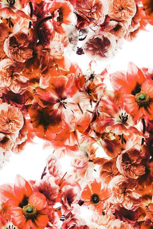 彩底花卉印花华亿平台图片