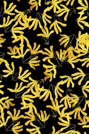 清爽底花卉印花华亿平台图片