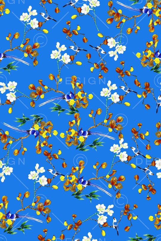 女装印花华亿平台图片