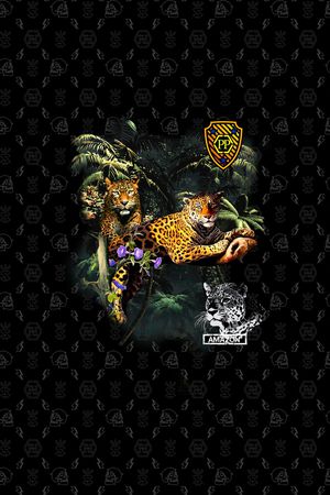 PHILIPP PLEIN印花华亿平台图片